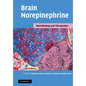 Brain Norepinephrine: Neurobiology and Therapeutics - Paperback