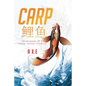 Carp 鲤鱼: Autobiography Of A Chinese Internet Celebrity - Paperback