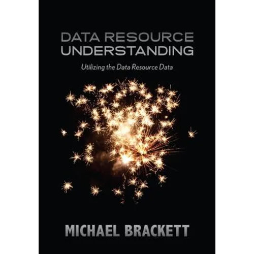 Data Resource Understanding: Utilizing the Data Resource Data - Paperback