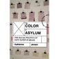 The Color of Asylum: The Racial Politics of Safe Haven in Brazil - Hardcover