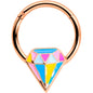 16G 3/8 Rose Gold Tone Geologist Prize Hinged Segment Ring