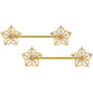 14G 9/16 Clear CZ Gem Gold Tone Airy Flower Nipple Ring Set