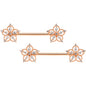 14G 9/16 Clear CZ Gem Rose Gold Tone Airy Flower Nipple Ring Set