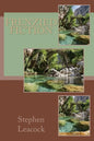 Frenzied Fiction - Paperback