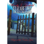 Beyond the Cedar Gate - Paperback