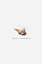 icecreamdumptruck - Paperback
