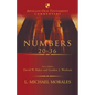 Numbers 20-36 - Hardcover