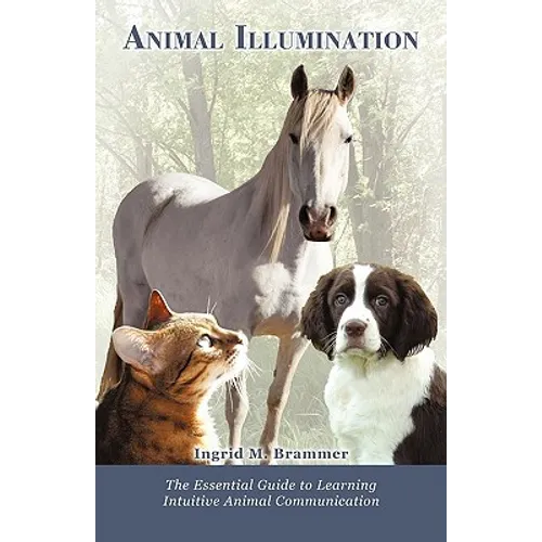 Animal Illumination: The Essential Guide to Learning Intuitive Animal Communication - Paperback
