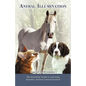Animal Illumination: The Essential Guide to Learning Intuitive Animal Communication - Paperback
