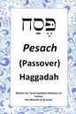 Passover Haggadah: For Torah obedient followers of Messiah Yeshua - Paperback