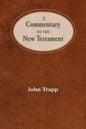 A Commentary of the New Testament - Hardcover