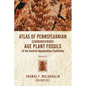 Atlas Of Pennsylvanian (Carboniferous) Age Plant Fossils of the Central Appalachian Coalfields: Volume 2 - Paperback