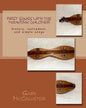 First Songs With the Mountain Dulcimer: history, instrument, and simple songs - Paperback