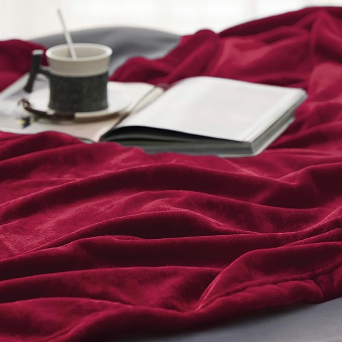 Bedsure Fleece Blanket Twin Size Red - 300GSM Lightweight Plush Fuzzy Cozy Soft Warm Blanket for Bed, Sofa, Couch, Travel, Camping, 60x80 inches