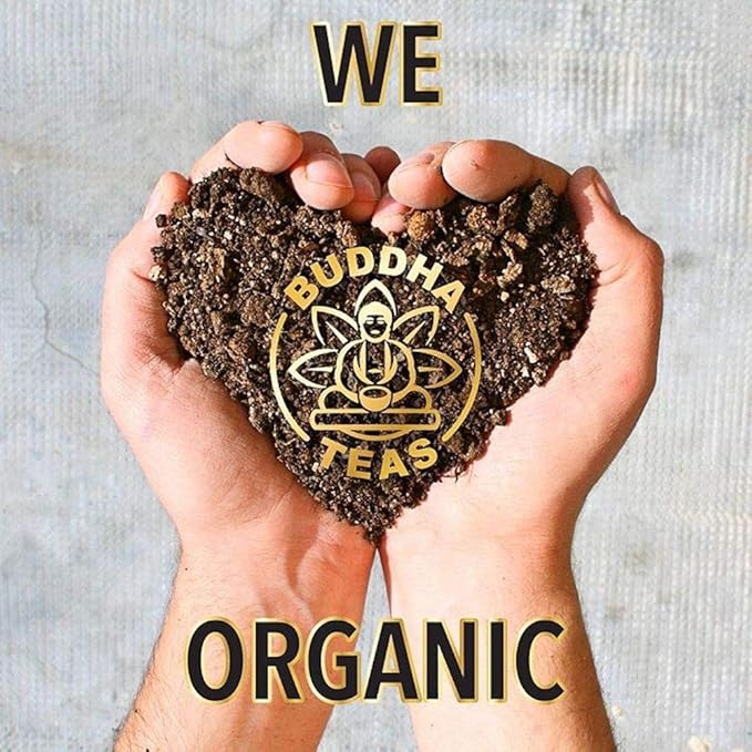 Buddha Teas Organic Maca Tea - OU Kosher, USDA Organic, CCOF Organic, 18 Bleach-Free Tea Bag