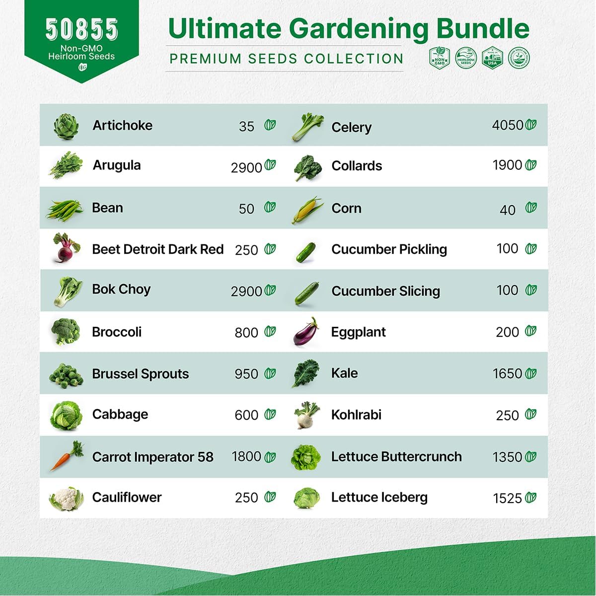22 Lettuce & Salad Greens & 40 Vegetable Seeds Variety Pack Bundle, 50,700+ Non-GMO Heirloom Seeds for Planting Vegetables, Lettuce, and Salad Greens for Indoor & Outdoor Gardening