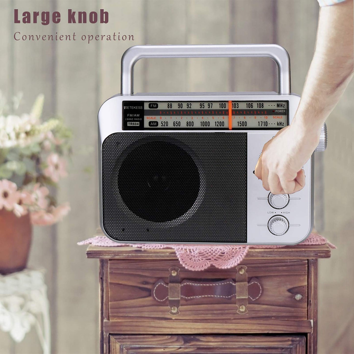 Retekess TR604 AM FM Radio,Portable Radio Plug in Wall,D Battery Operated,Large Dial,High/Low Tone Mode,Big Speaker,Earphone Jack,for Home,Picnic,Senior