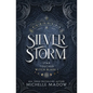 Silver Storm - Paperback