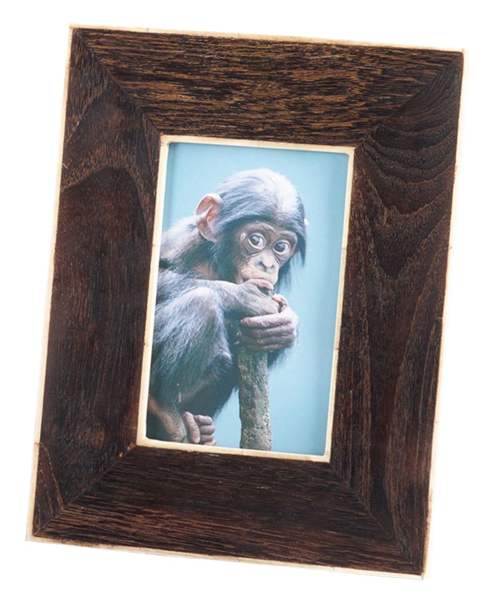 Fennco Styles Brown Wooden and Bone Tabletop Photo Frame - 2 Sizes