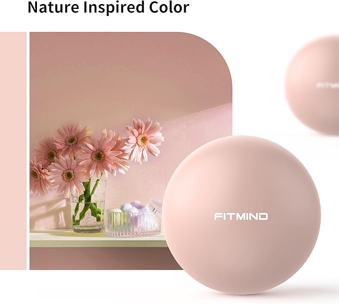 Pilates Ball - 10 Inch Core Ball for Yoga, Stability, Fitness, Ab & Core Workout, Physical Therapy