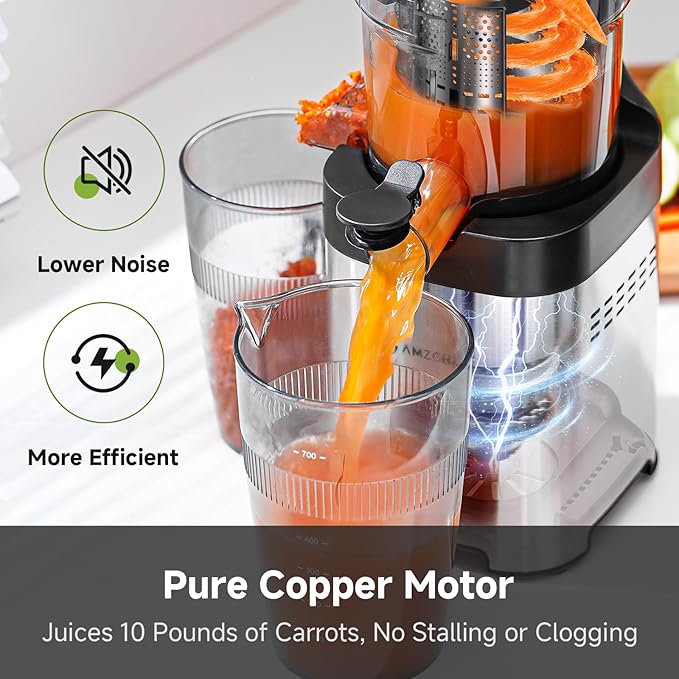 AMZCHEF Cold Press Juicer, Juicers Machines - 5.4" Large Feed Chute for Whole Fruits & Vegetables, Stainless Steel Slow Masticating Juice Easy to Clean, Large Auger, Triple Strainers, Silver