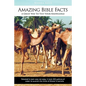 Amazing Bible Facts: A Great Way to Test Your Knowledge - Paperback