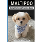 Maltipoo Complete Care & Training Guide: How to Give Your Pup His Best Life - Paperback