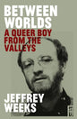Between Worlds: A Queer Boy from the Valleys - Paperback