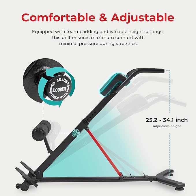 Sunny Health Fitness Roman chair back extension workout