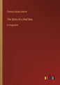 The Story of a Bad Boy: in large print - Paperback