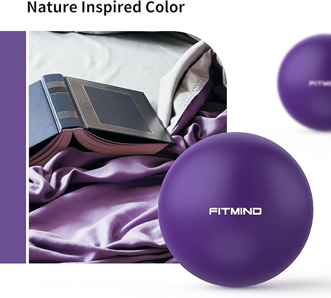 Pilates Ball - 10 Inch Core Ball for Yoga, Stability, Fitness, Ab & Core Workout, Physical Therapy