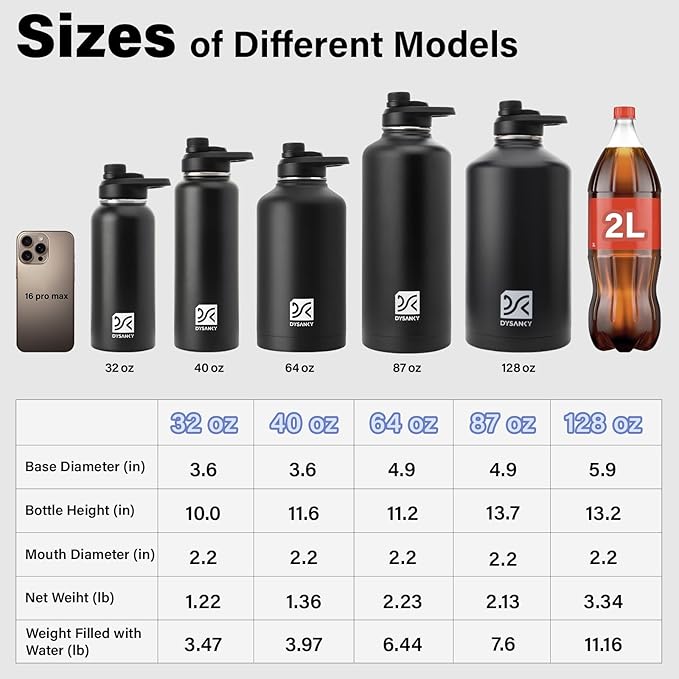 Insulated Water Bottle | Thickened Stainless Steel for Gym and Hiking with Straw, Carrier Bag, Handle Strap | BPA-Free 87 oz