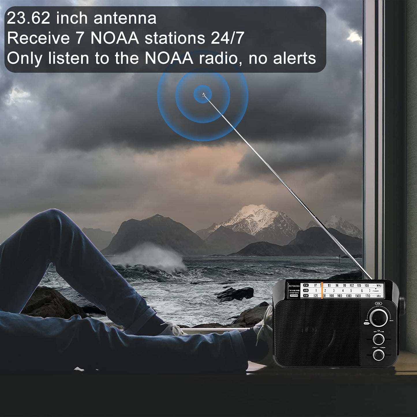 Retekess TR604 AM FM Radio,Portable Radio Plug in Wall,D Battery Operated,Large Dial,High/Low Tone Mode,Big Speaker,Earphone Jack,for Home,Picnic,Senior