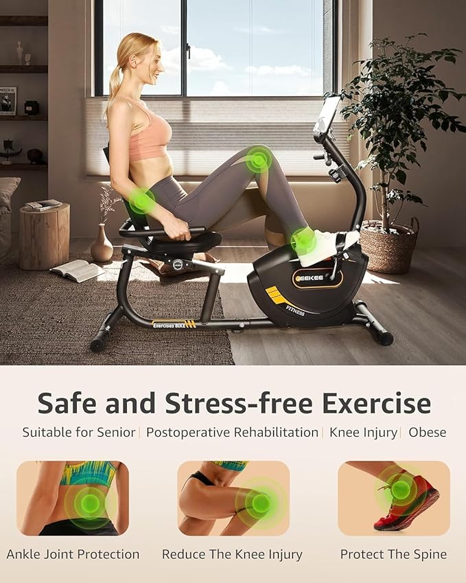 JEEKEE Recumbent Exercise Bike for Seniors,Stationary Bikes for Home, 300LB Capacity & 16 Levels Magnetic Resistance, Heart Rate Handle
