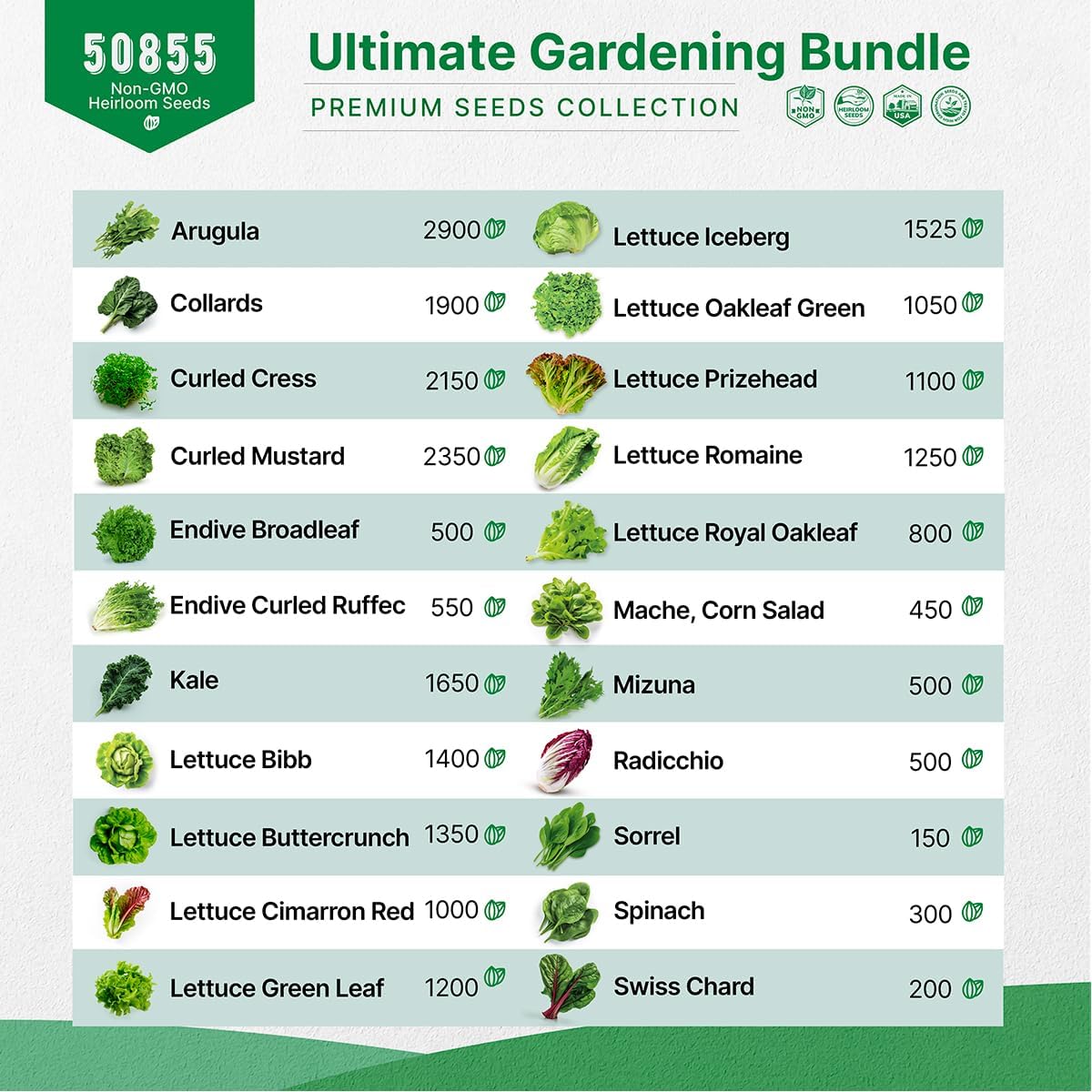 22 Lettuce & Salad Greens & 40 Vegetable Seeds Variety Pack Bundle, 50,700+ Non-GMO Heirloom Seeds for Planting Vegetables, Lettuce, and Salad Greens for Indoor & Outdoor Gardening