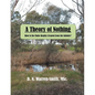 A Theory of Nothing: How Is the Finite Reality Created from the Infinite? - Paperback