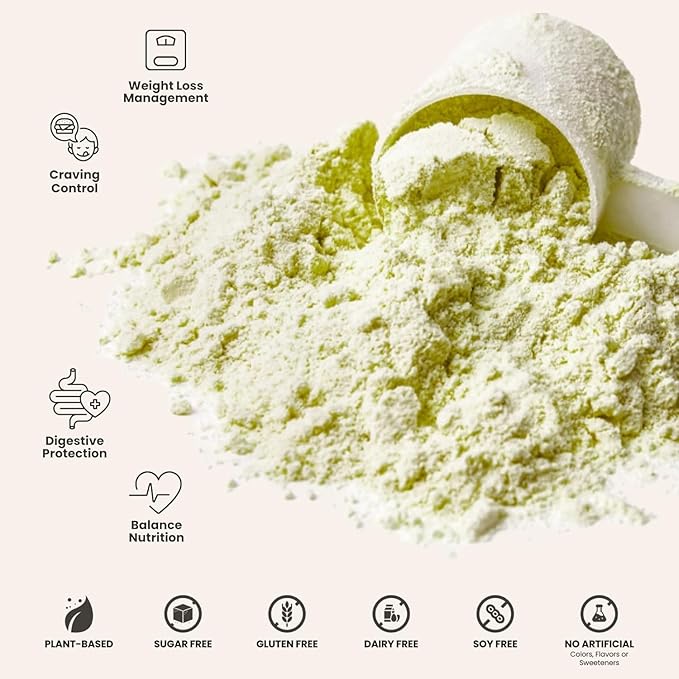 310 Nutrition All-In-One Meal Replacement Shake Powder - Plant-Based Protein Smoothie Blend w/High Fiber, Probiotics & Adaptogens - Low Carb, Vegan, Keto & Paleo Friendly - Gingerbread - 28 Srv