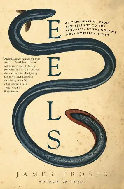 Eels: An Exploration, from New Zealand to the Sargasso, of the World's Most Mysterious Fish - Paperback