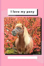 I Love My Pony: Write and Draw About Your Pony - Paperback