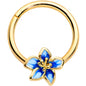16G 3/8 Gold Tone White Blue Flower Hinged Segment Ring