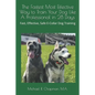 The Fastest Most Effective Way to Train Your Dog Like A Professional in 28 Days: Achieving a well-trained dog in 28 days using E-Collar training - Paperback