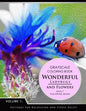 Wonderful Ladybugs and Flowers Book 1: Grayscale coloring books for adults Relaxation (Adult Coloring Books Series, grayscale fantasy coloring books) - Paperback