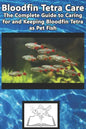 Bloodfin Tetra Care: The Complete Guide to Caring for and Keeping Bloodfin Tetra as Pet Fish - Paperback