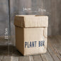 Cement Brown Paper Box Flowerpot Creative Planting Indoor Balcony