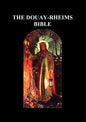 Douay-Rheims Bible: (complete with notes) - Paperback