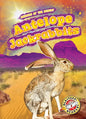 Antelope Jackrabbits - Library Binding
