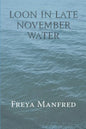 Loon In Late November Water - Paperback