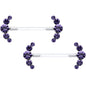 14G 13/16 Purple Gem Bioplast Simple Curvation Nipple Ring Set