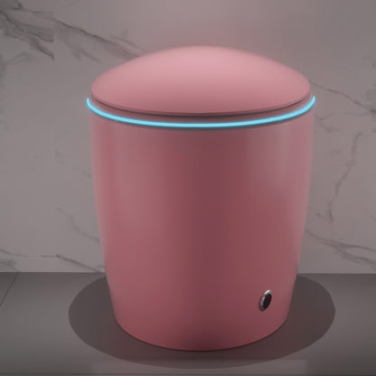 Unique Smart Toilet with Bidet Built In, Intelligent One Piece Toilet For Mod...