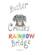 Buster Crosses Rainbow Bridge - Paperback